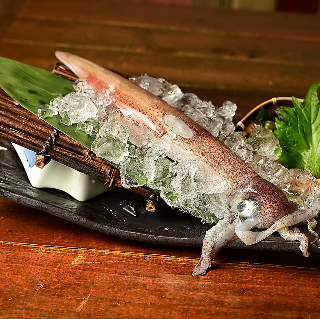 串焼き酒場旨かもんの写真ギャラリー