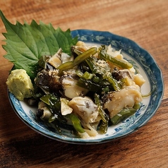 つぶ貝わさび