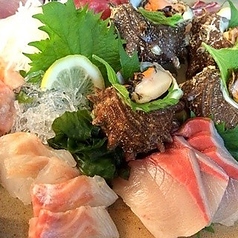 豆しばのコース写真