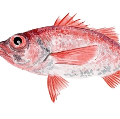 えん　風雅のコース写真