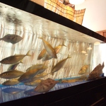 店内には生簀が3つも！さすがは【魚樽】。豪快活魚料理をぜひ！