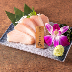 ビンチョウマグロ