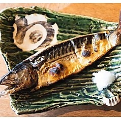 自家製一夜干し さば