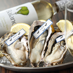 ACORN 新宿東宝ビル店特集写真1