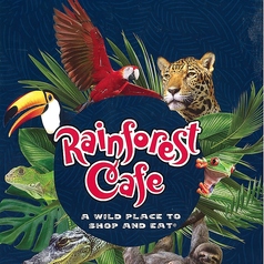 レインフォレストカフェ イクスピアリ舞浜(ディズニーランド/洋食