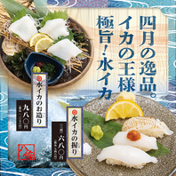 【4月限定食材】<水イカ>