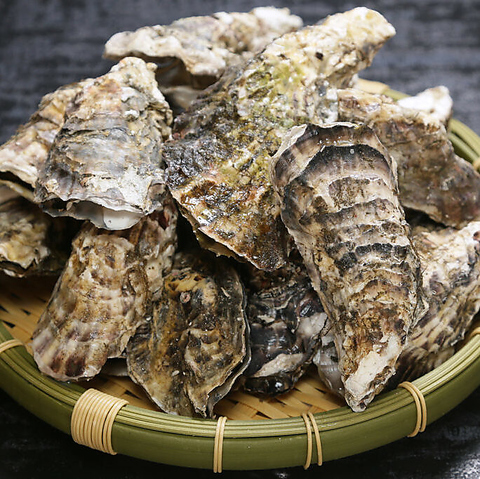 Oyster &Sea Food BBQ ƂƂVq ƂƂ₵ׂ