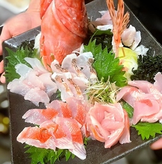 呑み食い処 春夏冬家 あきないやのコース写真