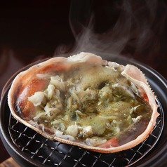 ずわい蟹コース