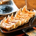 料理メニュー写真&nbsp;肉汁焼餃子　一枚(6ケ)※写真はイメージです