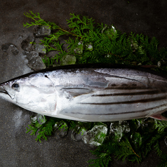 鰹（高知、静岡・焼津、宮崎、鹿児島）
