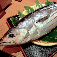 産地直送、朝締めの新鮮魚介が毎日入荷します！