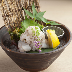 炙り鱧のお刺身
