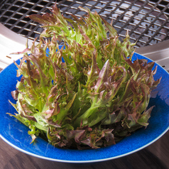 SAKURA サクラ 焼肉の特集写真