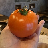 VegeBal シザオンのおすすめ料理2