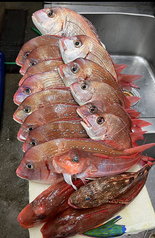 居酒屋 まち 中野のコース写真