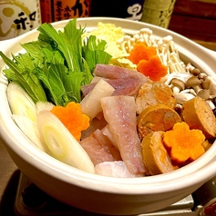 煮込み 肴 牛カツ アポロのコース写真