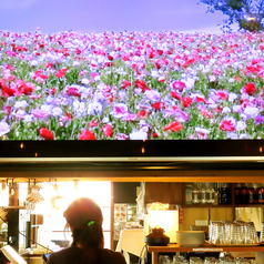 ８０インチの特大モニター有