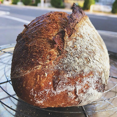 自家製天然酵母パン