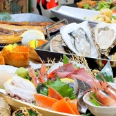 クリックすると【産地直送】海鮮居酒屋さかなセンターの詳細ページへ 【産地直送】海鮮居酒屋さかなセンターの写真