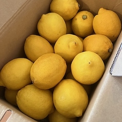 瀬戸内・第三島レモン使用で皮まで食べれます!