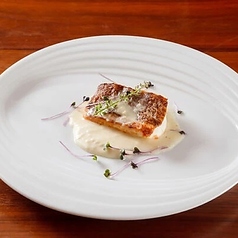 真鯛のソテー　アチェトクリームソース