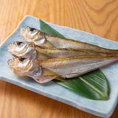 汐ハタハタ(2尾)
