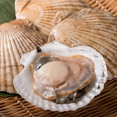 えん　風雅のコース写真