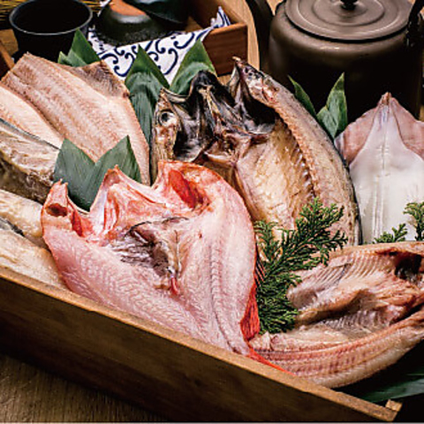 Ђ̂Ƙa߂  T FACELcswX