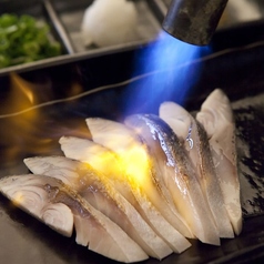 大トロ炙りしめ鯖