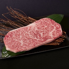 GYU-SUKE ギュウスケの特集写真