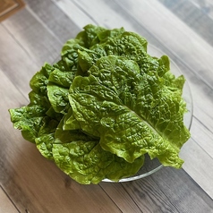 サンチュ（約10枚）