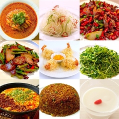 本格四川料理 麻辣大学 上野本店のおすすめ料理1