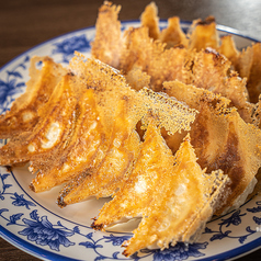 自家製手作り焼き餃子