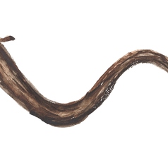 囲炉裏 えん encounterのコース写真