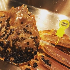 活かに 北斗のコース写真