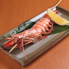 (魚)特大有頭海老一本焼き