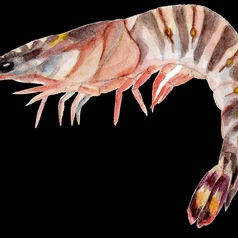 囲炉裏 えん encounterのコース写真