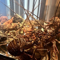 生簀から引き揚げられる活魚