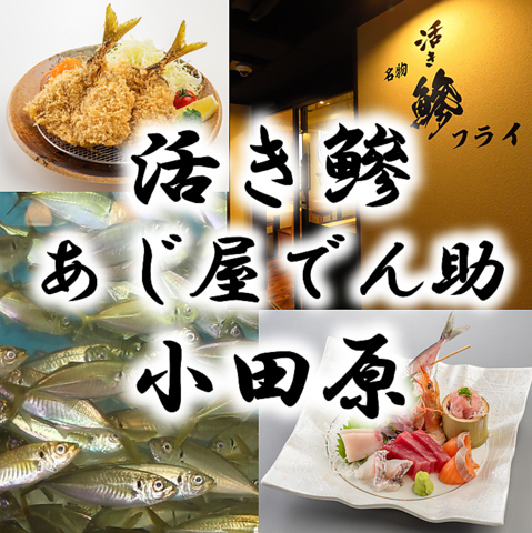 看板メニューは店内の水槽から揚げたてを調理する活きアジ料理！