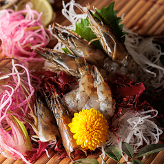 二代目 魚義 大井町駅店特集写真1