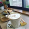 E+PLACE ENGLISH&CAFE画像