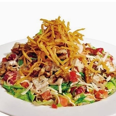 サウス・ウェスタン・サラダ