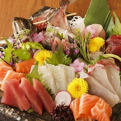 漁港直送の海鮮料理◎旬の素材を活かした創作料理