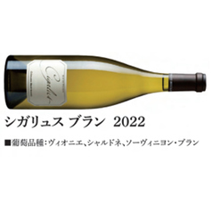 シガリュスブラン2022