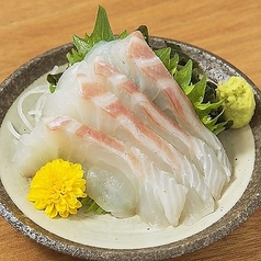 天然鯛