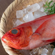 えん　風雅のコース写真