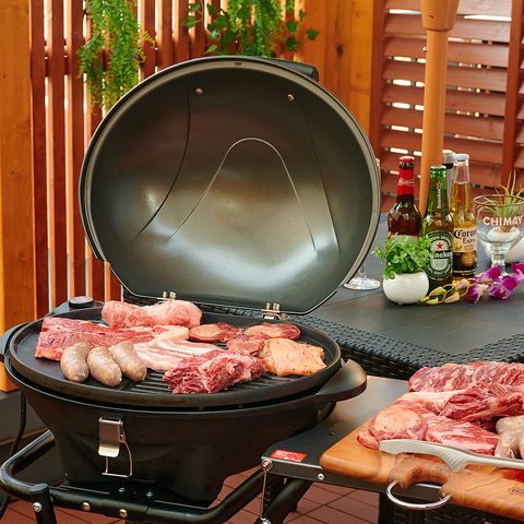 ��Ԃ�BBQ����r�A�K�[�f���I�A�V�X�K�[�f���V�h