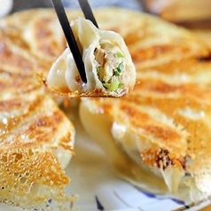 手作り羽根付焼き餃子or水餃子