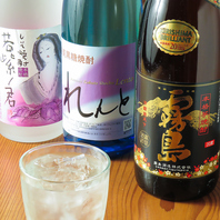 豊富な取り揃え